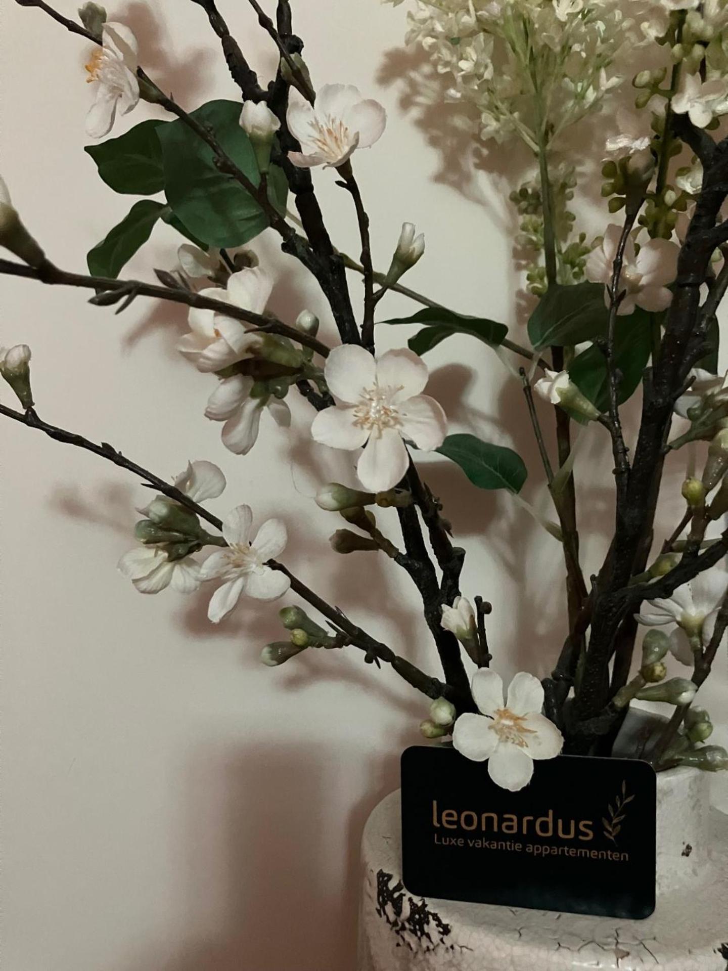 Luxe Appartementen Leonardus Valkenburg aan de Geul Eksteriør bilde